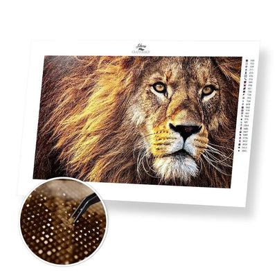Lion Close-up - Diamond Painting Kit - Home Craftology