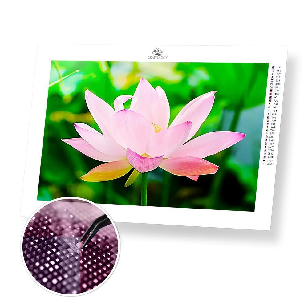 Lotus Flower - Premium Diamond Painting Kit