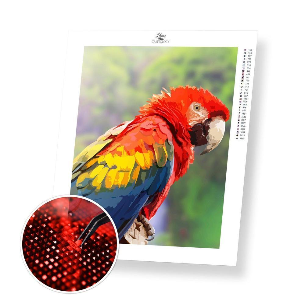 Macaw - Diamond Painting Kit - Home Craftology