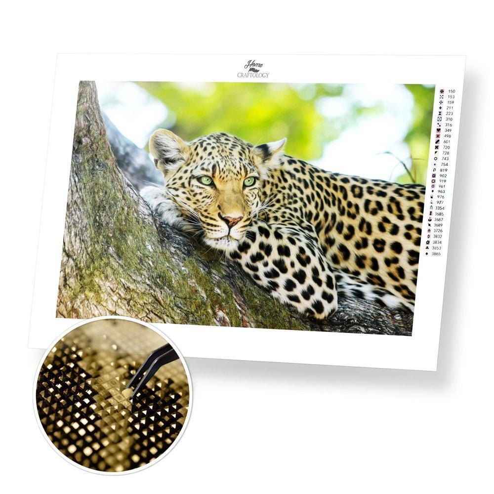 Mesmerizing Leopard - Diamond Painting Kit - Home Craftology