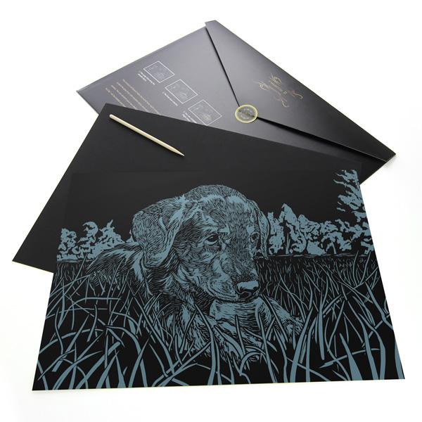 Dogs Scratch Painting Bundle