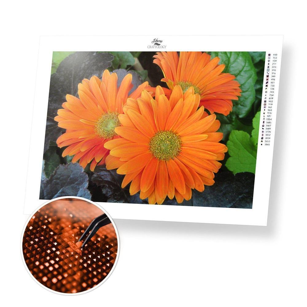 Orange Gerbera - Diamond Painting Kit - Home Craftology