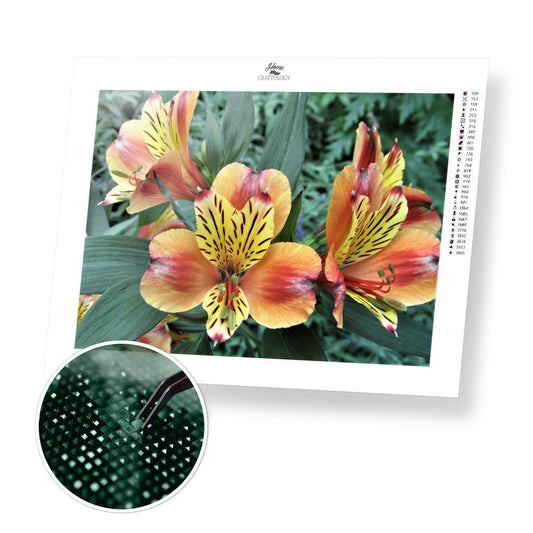 Orange Yellow Orchid - Diamond Painting Kit - Home Craftology