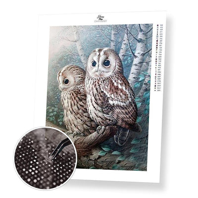 Owl on a Tree - Diamond Painting Kit - Home Craftology