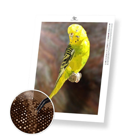 Parakeet - Diamond Painting Kit - Home Craftology