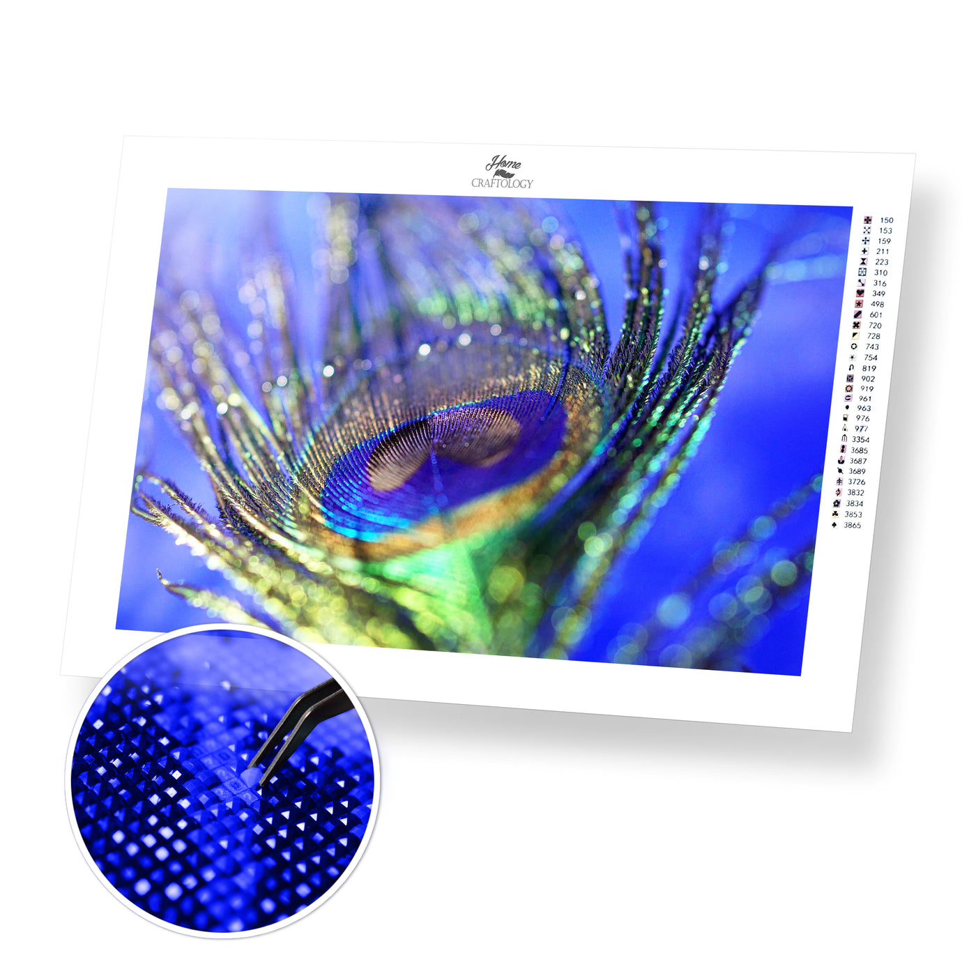 Peacock Feather Close-up - Premium Diamond Painting Kit