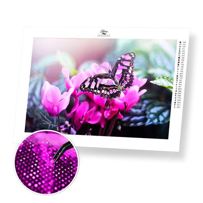Pink and Black Butterfly - Premium Diamond Painting Kit