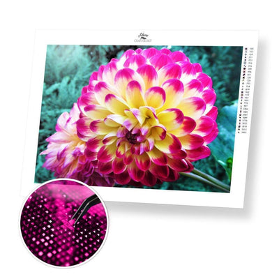 Pink and White Dahlia - Diamond Painting Kit - Home Craftology