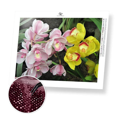 Pink and Yellow Orchids - Diamond Painting Kit - Home Craftology