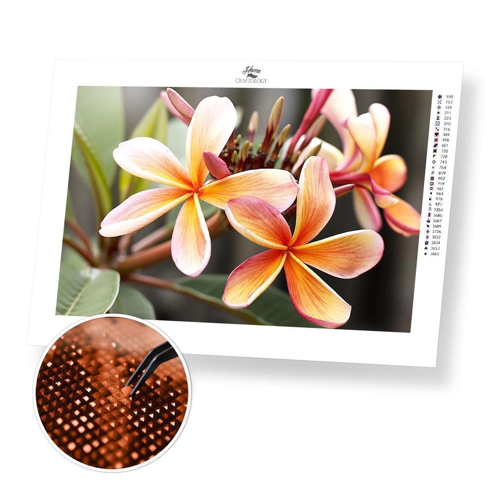 Plumeria Flower - Premium Diamond Painting Kit