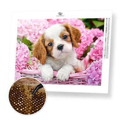 Puppy - Diamond Painting Kit - Home Craftology