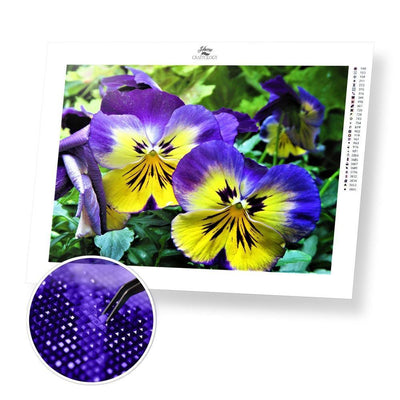 Purple Pansy - Diamond Painting Kit - Home Craftology