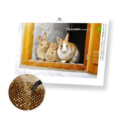 Rabbits - Premium Diamond Painting Kit