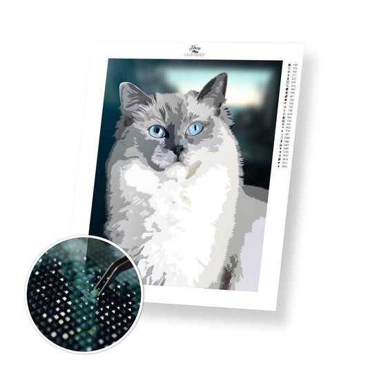 Ragdoll - Diamond Painting Kit - Home Craftology