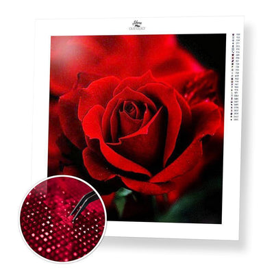 Red Rose - Diamond Painting Kit - Home Craftology