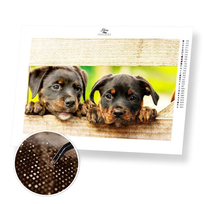 Rottweiler Puppies - Premium Diamond Painting Kit