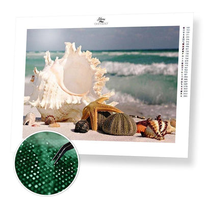 Sea Shells - Diamond Painting Kit - Home Craftology