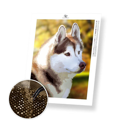 Siberian Husky - Diamond Painting Kit - Home Craftology