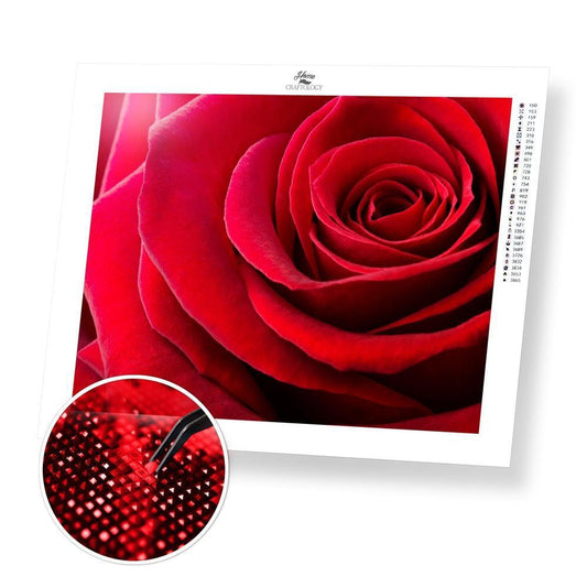 Single Red Rose - Exclusive Premium Diamond Painting Kit