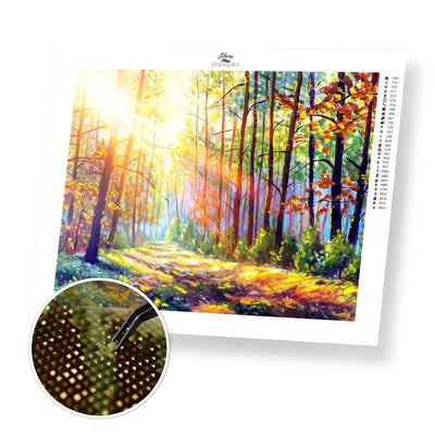 Sunlit Forest - Premium Diamond Painting Kit