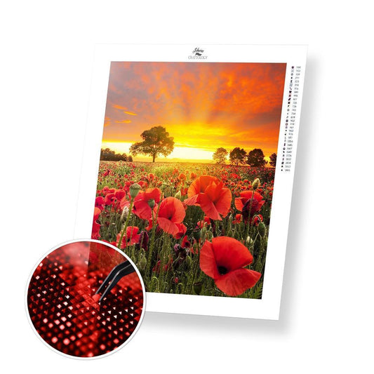 Sunset and Red Poppies - Exclusive Premium Diamond Painting Kit