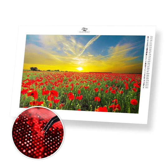 Sunset over Poppies - Diamond Painting Kit - Home Craftology