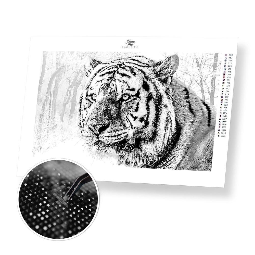 Tiger - Diamond Painting Kit - Home Craftology