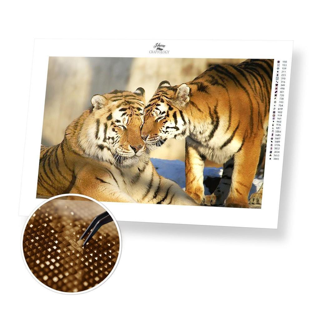 Tiger and Tigress - Diamond Painting Kit - Home Craftology