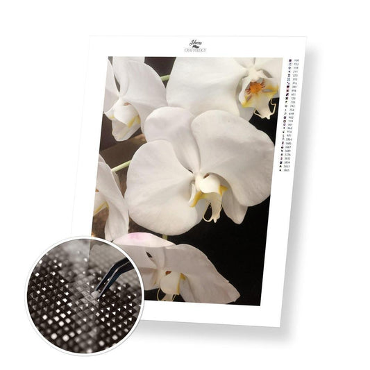 White Orchid - Diamond Painting Kit - Home Craftology