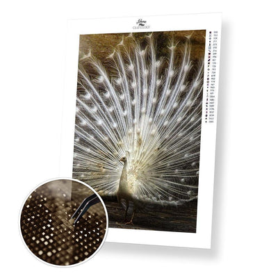 White Peacock with Open Feathers - Diamond Painting Kit - Home Craftology
