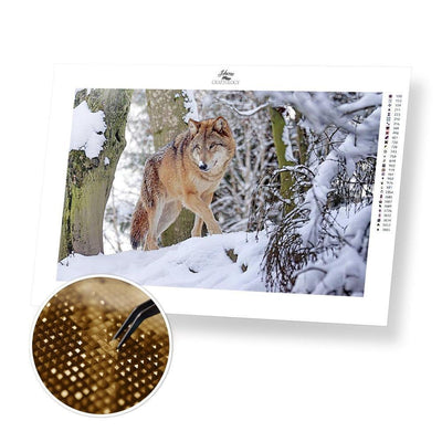Wolf in Winter - Diamond Painting Kit - Home Craftology
