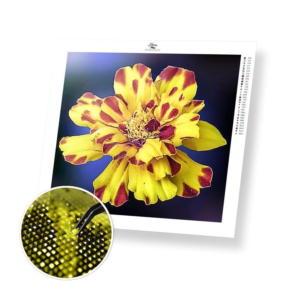 Yellow Orchid - Premium Diamond Painting Kit
