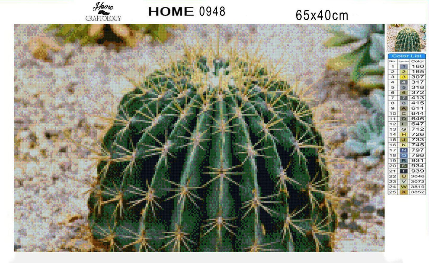 Barrel Cactus - Diamond Painting Kit - Home Craftology