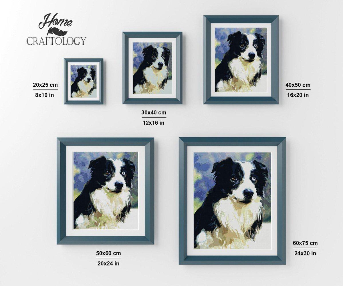 Border Collie - Diamond Painting Kit - Home Craftology