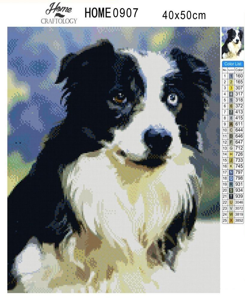 Border Collie - Diamond Painting Kit - Home Craftology