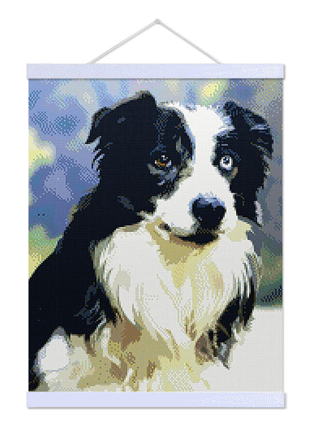 Border Collie - Exclusive Premium Diamond Painting Kit