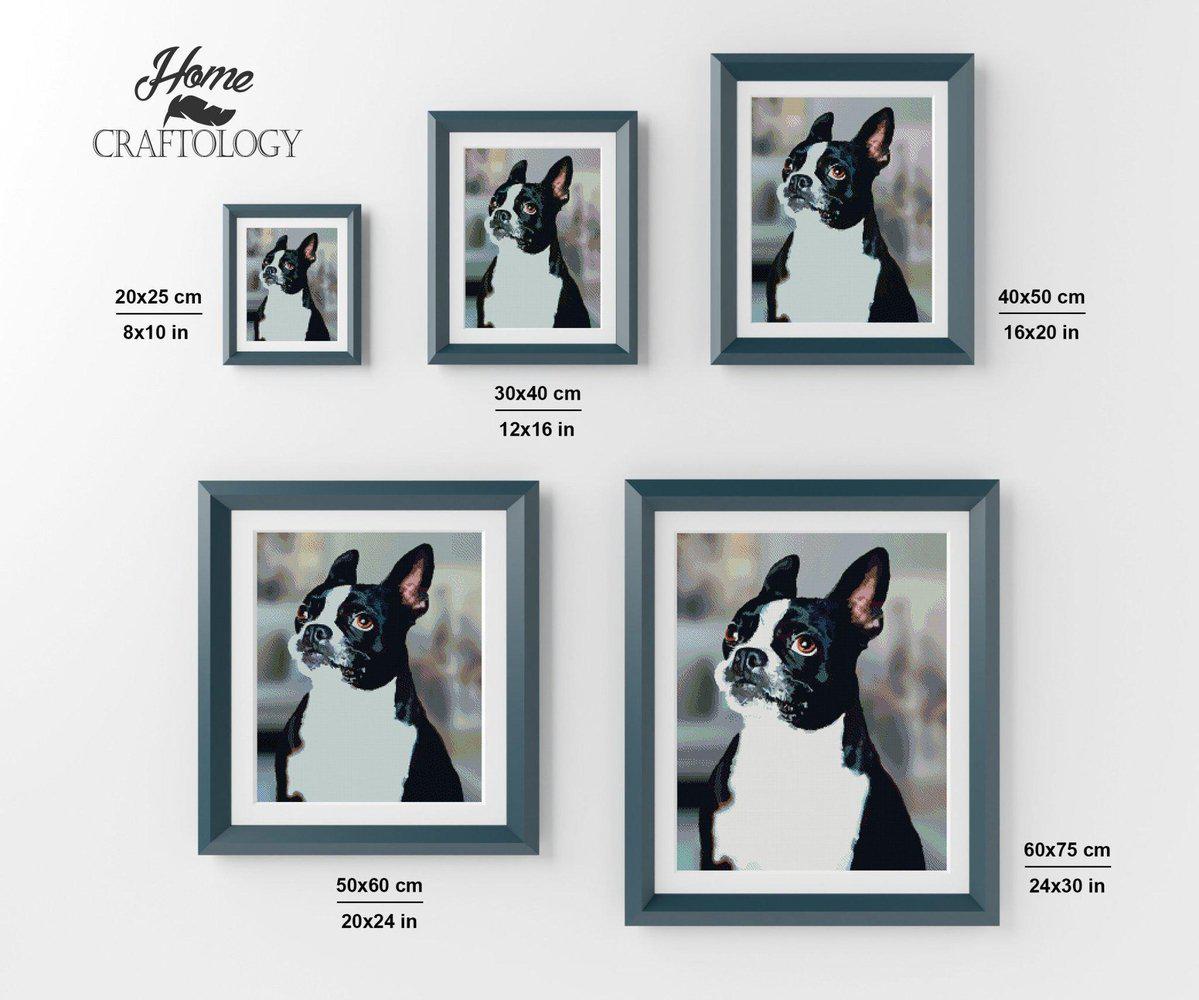 Boston Terrier - Diamond Painting Kit - Home Craftology