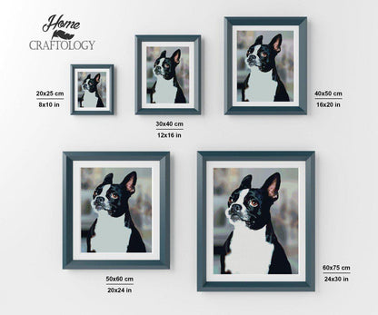 Boston Terrier - Diamond Painting Kit - Home Craftology