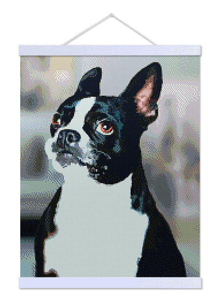 Boston Terrier - Exclusive Premium Diamond Painting Kit