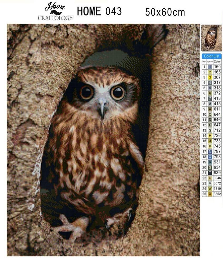 Brown Owl - Diamond Painting Kit - Home Craftology