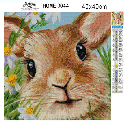 Bunny Close-up - Diamond Painting Kit - Home Craftology