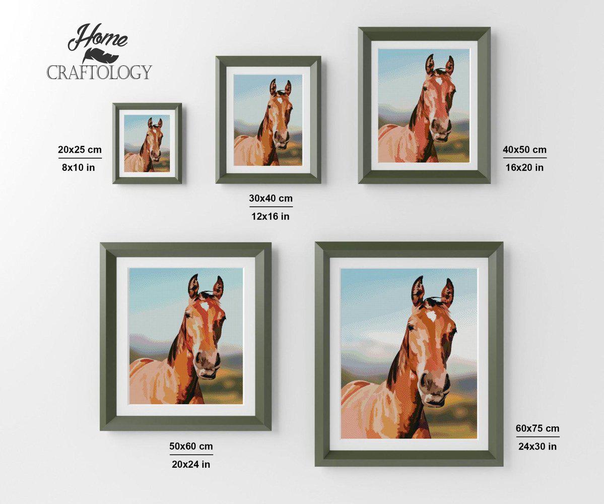 Horse - Diamond Painting Kit - Home Craftology