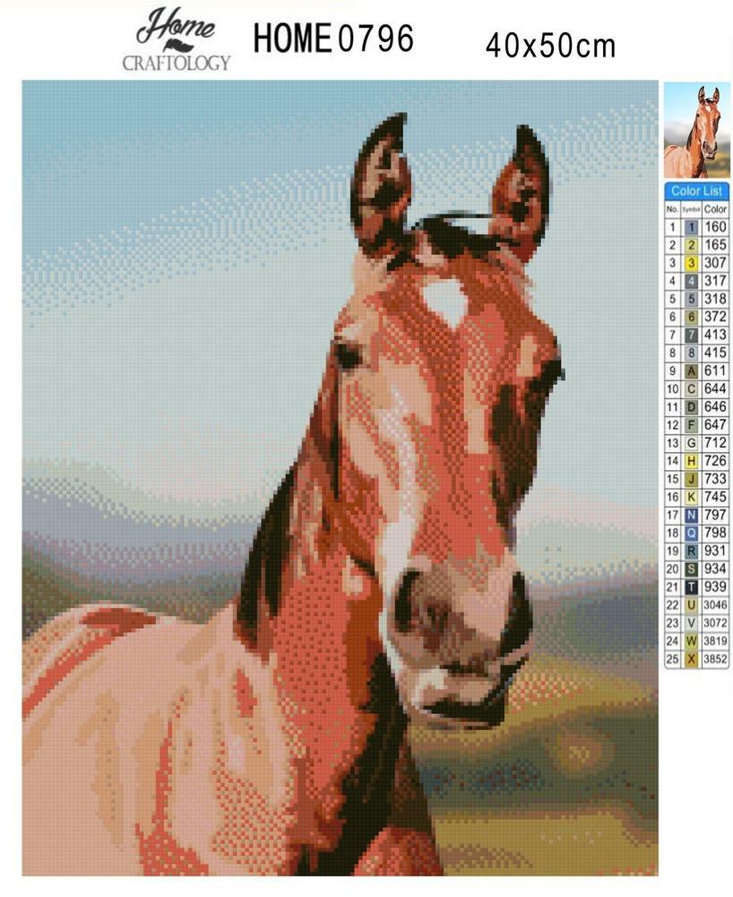 Horse - Diamond Painting Kit - Home Craftology