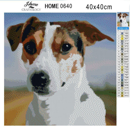 Jack Russel Terrier - Diamond Painting Kit - Home Craftology