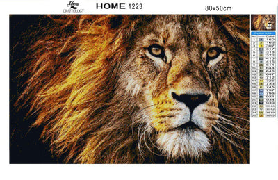 Lion Close-up - Diamond Painting Kit - Home Craftology