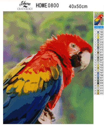Macaw - Diamond Painting Kit - Home Craftology