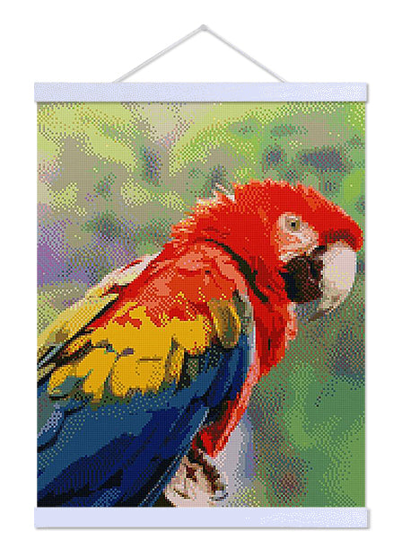 Macaw - Exclusive Premium Diamond Painting Kit