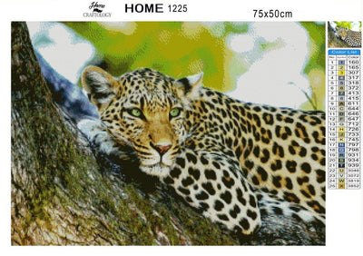 Mesmerizing Leopard - Diamond Painting Kit - Home Craftology