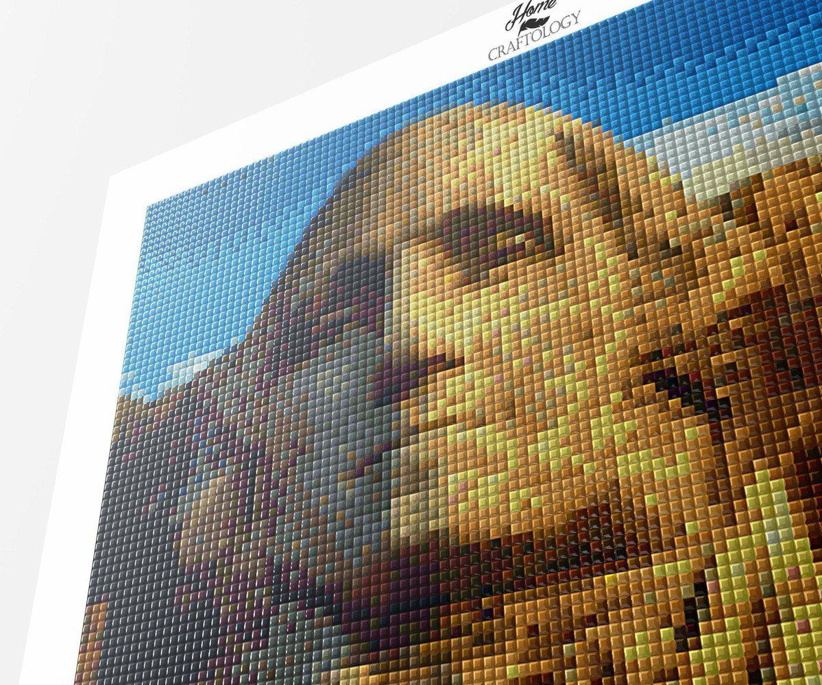 Mt. Rushmore - Diamond Painting Kit - Home Craftology