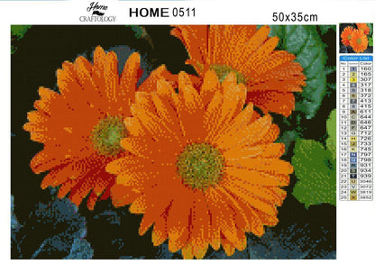 Orange Gerbera - Diamond Painting Kit - Home Craftology